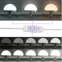 Настолно тоалетно огледало с Холивуд LED осветление опушен дъб 60 x 55 см