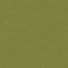 Комплект от 2 трапезни стола тип кресла в стил Mid-Century Modern от светлозелено кадифе с черни метални крака